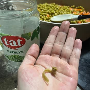 Bebek Yemeğinde Tehlikeli Yabancı Maddeler