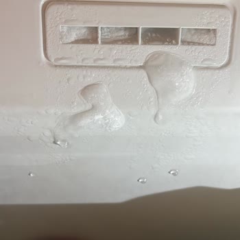 Bosch Buzdolabı Ve Termosifon Arızalarıyla Başım Dertte