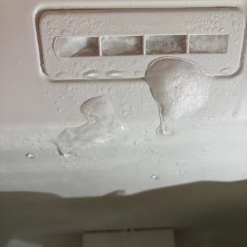 Bosch Buzdolabı Ve Termosifon Arızalarıyla Başım Dertte