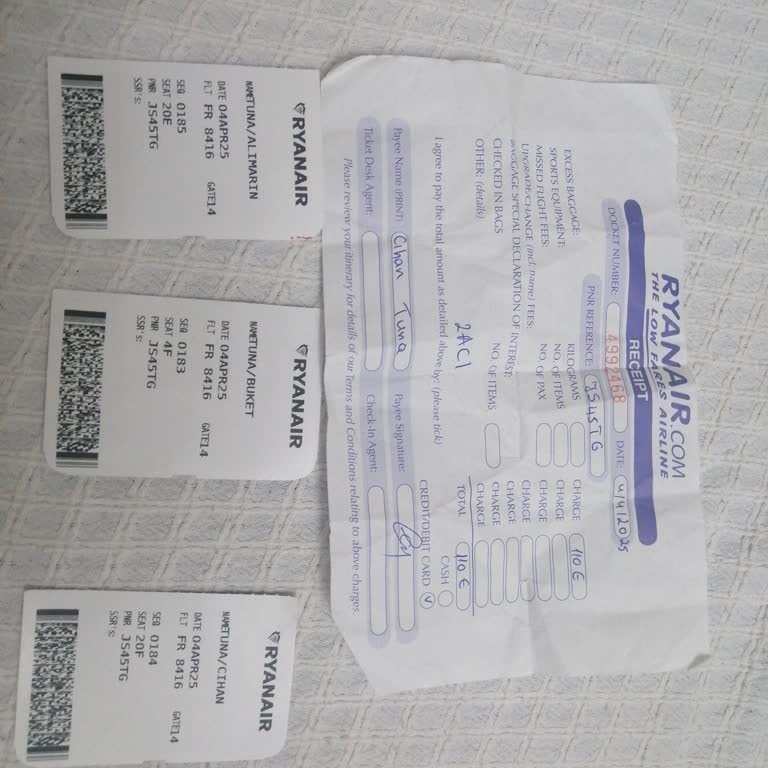 Ryanair Check-in Kabusu: Gizli Ücretler Ve Müşteri Memnuniyetsizliği