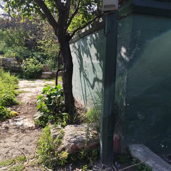 Diyanet İşleri Başkanlığı Tarihi Türbede Hijyen Sorunu