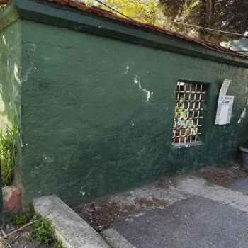 Diyanet İşleri Başkanlığı Tarihi Türbede Hijyen Sorunu