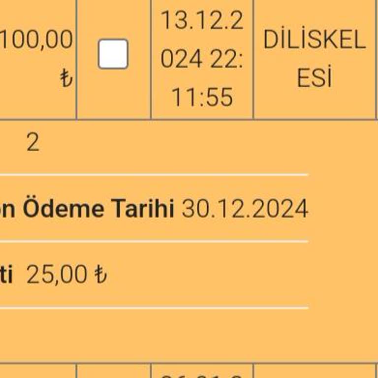 Hatalı HGS Cezası: Geçiş Yapmadığım Halde Ücret Yansıtıldı!