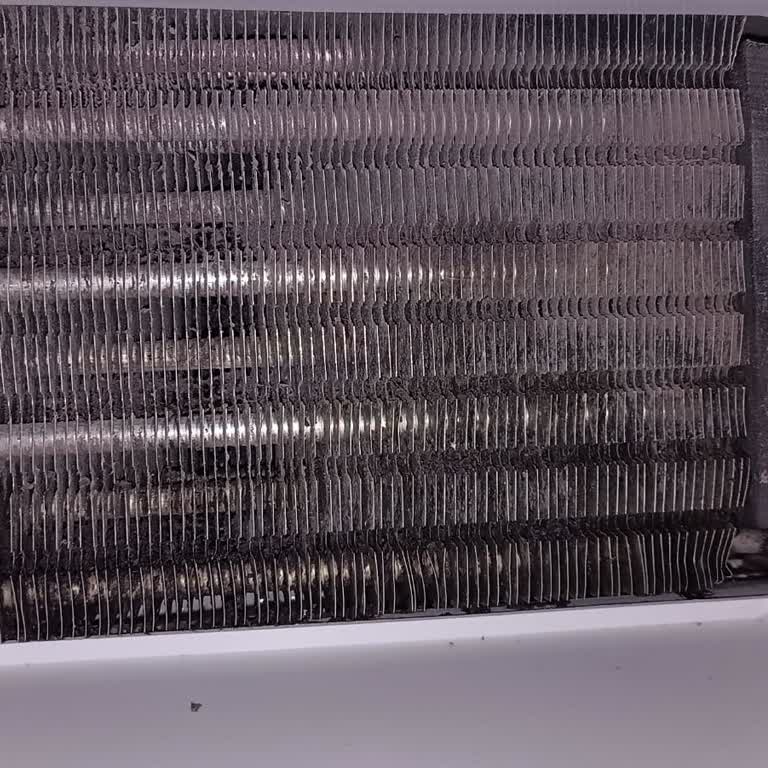 Vestel İle Yaşanan Sorunlar Ve Hayal Kırıklığı