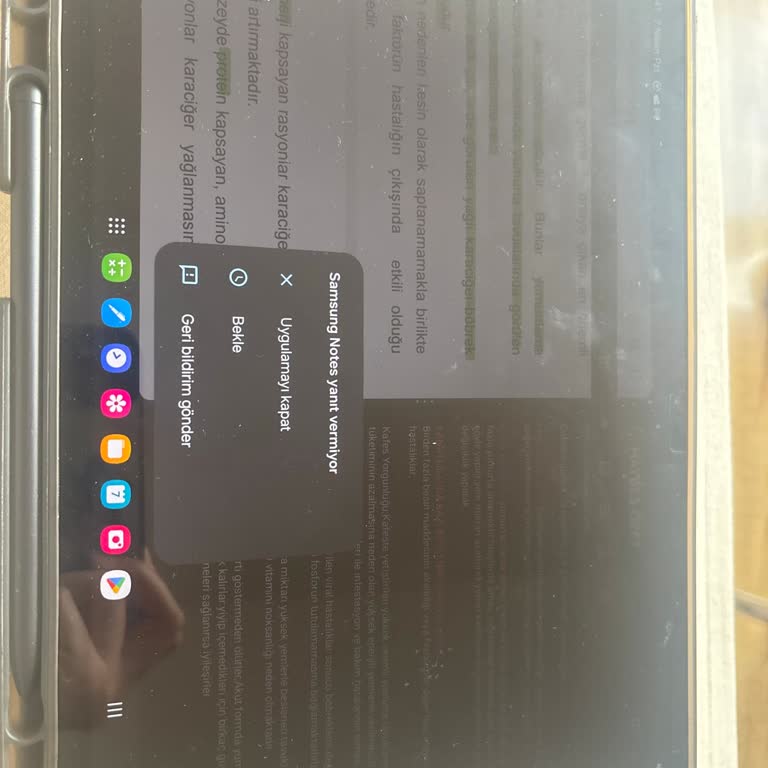 Notes Uygulaması Sorunları