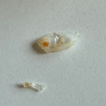 Ezine Peynirli Börekte Plastik Parça Şoku