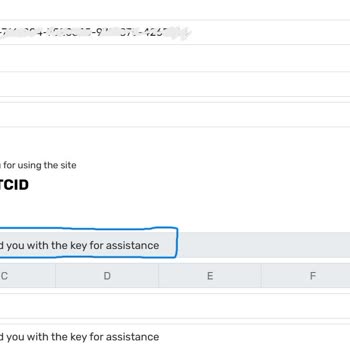 Bloklanmış Lisans Keyi Ve Yanıtsız Destek