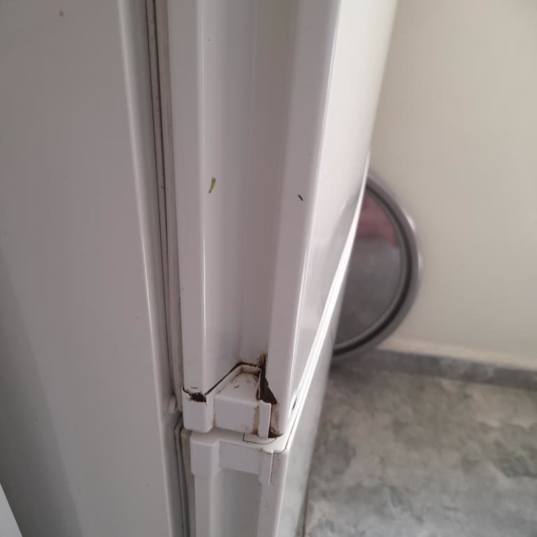 Bosch Buzdolabında Küflenme Sorunu Ve Servis Ücreti