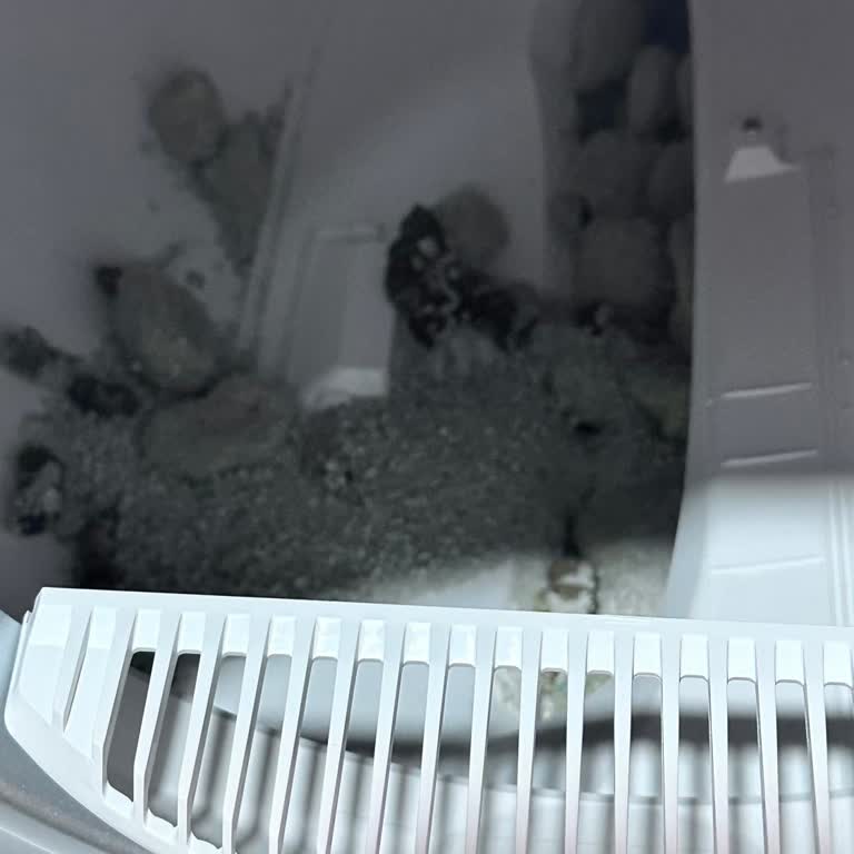 Kochler Otomatik Kedi Tuvaleti Hijyen Sorunu