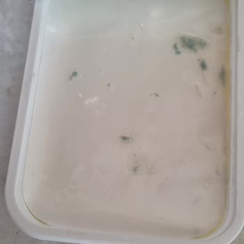 Güvenilir Markanın Küflü Peynir Şoku