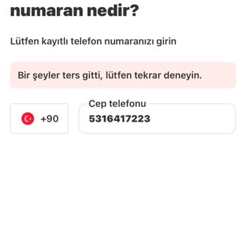 Giriş Yapma Sorunu: Her Yöntem Başarısız