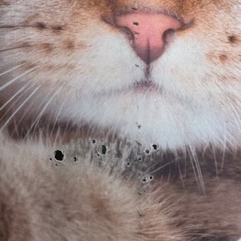 Hasarlı Bagaj Ve Çözüm Sürecindeki Mağduriyetim