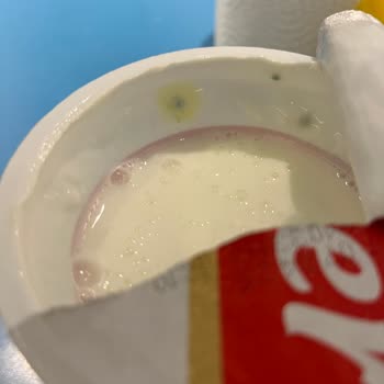 Eker Ayranlarında Küflenme Ve Tat Bozulması Sorunu