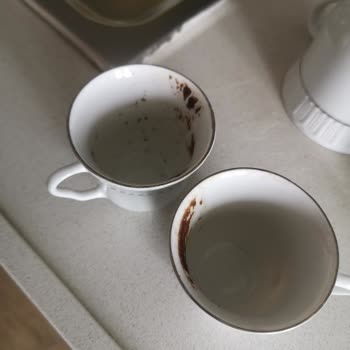 Yerli Üretim Tercihimin Hayal Kırıklığı: Bind Activit