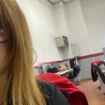 Dyson İade Sürecinde Müşteri Memnuniyetsizliği