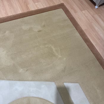 Seda Hali Yıkama Halımı Mahvetti