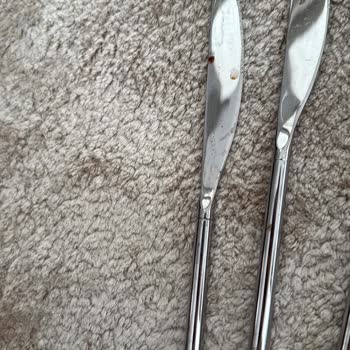 Paslanan Çatal Bıçak Seti Sağlık Riski Taşıyor