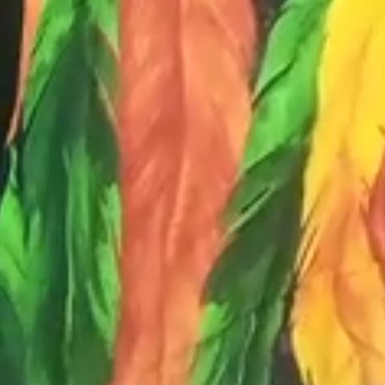 Trend Esma Şikayeti