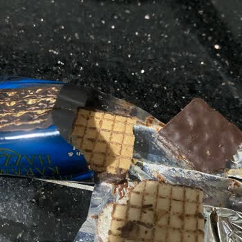 Çikolatadan Böcek Çıktı: Sağlık Riski Ve İletişim Eksikliği