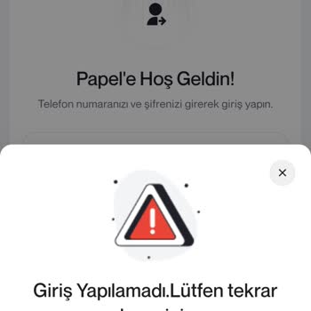 Papel Hesabı Giriş Sorunu Ve Güvenlik Endişesi