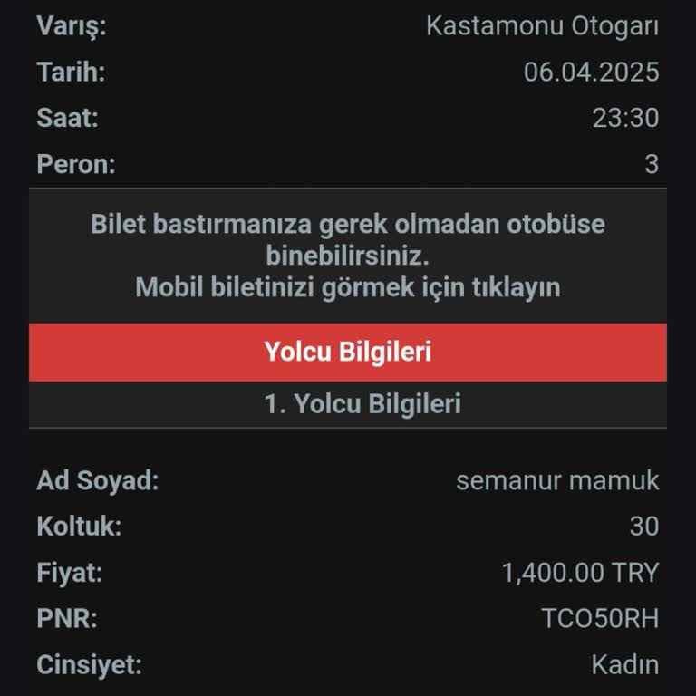 Gece Yolculuğunda Gecikme Ve İletişim Eksikliği