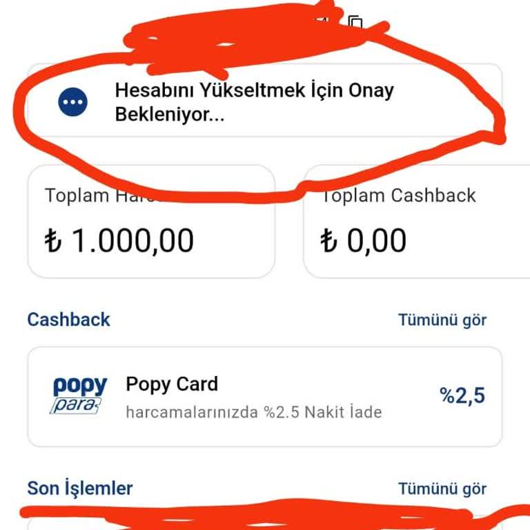 Popy Para Hesabında İşlem Yapamama Ve Müşteri Hizmetleri Sorunu