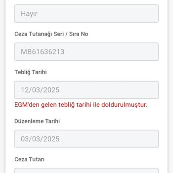 Kredi Kartı Ödemelerinde Trafik Cezası Sorunu