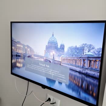 Sunny Televizyonla Bitmeyen Arıza Çilesi