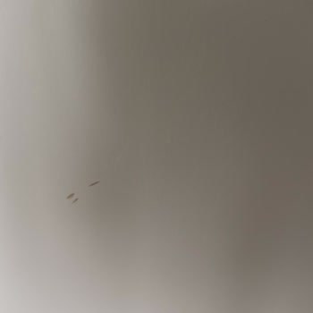 Bellona'dan Aldığımız Ürünler Hayal Kırıklığı Yarattı!