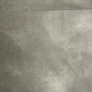 Roborock 8+ Paspas Performansı Düşüklüğü