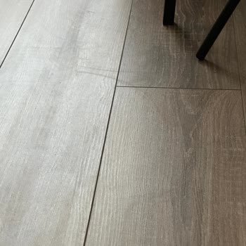 Roborock 8+ Paspas Performansı Düşüklüğü