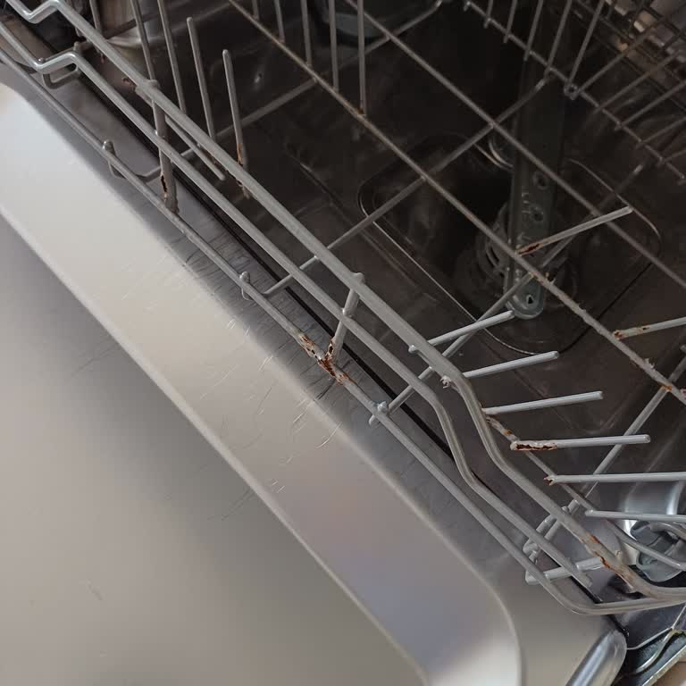 Franke Bulaşık Makinesinin Alt Sepeti Paslandı!