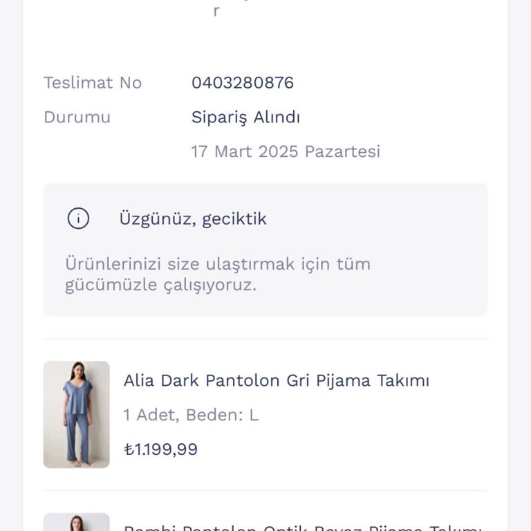 Sipariş Gecikmesi Ve Hediye Planlarının Bozulması