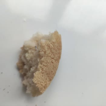 Glutensiz Ekmekte Cam Kırığı Tehlikesi!