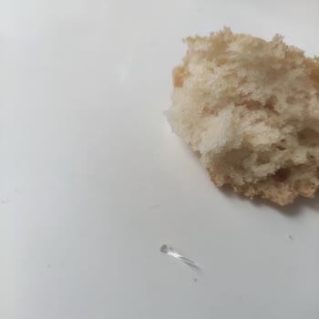 Glutensiz Ekmekte Cam Kırığı Tehlikesi!