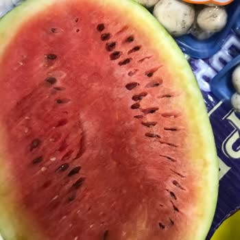 Bozuk Karpuz Ve Saygısız Yönetici