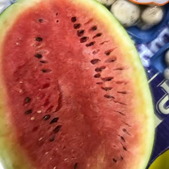 Bozuk Karpuz Ve Saygısız Yönetici