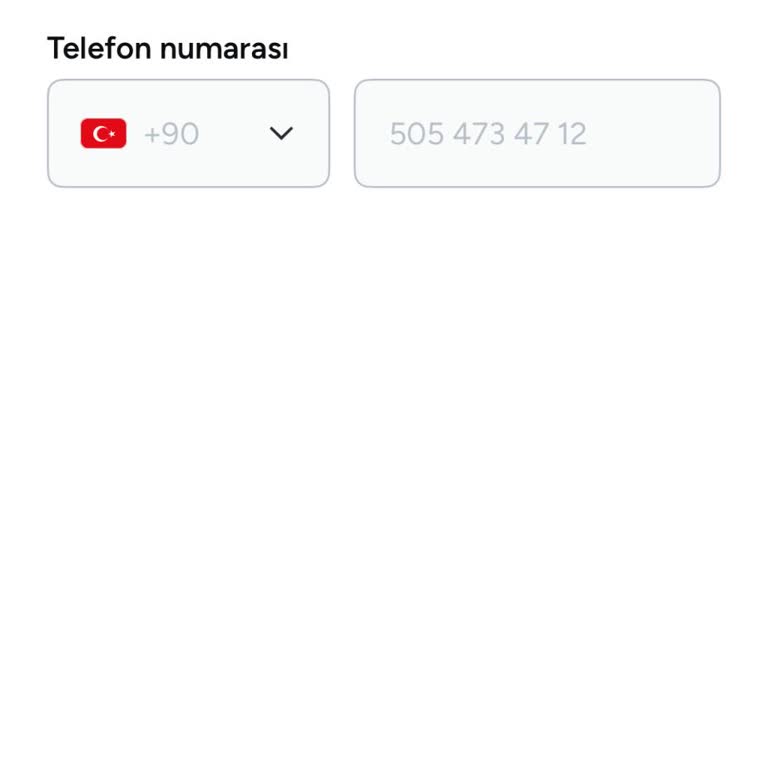 Armut Uygulamasında Erişim Sorunu Ve İletişim Eksikliği