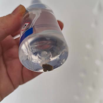 Hijyenik Üründe Beklenmedik Kirlilik