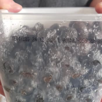 Tukaş Zeytin Beklenmedik Şekilde Bozuk Çıktı