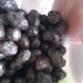 Tukaş Zeytin Beklenmedik Şekilde Bozuk Çıktı