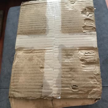 Hasarlı Ve Paslı Köpek Maması Teslimatı