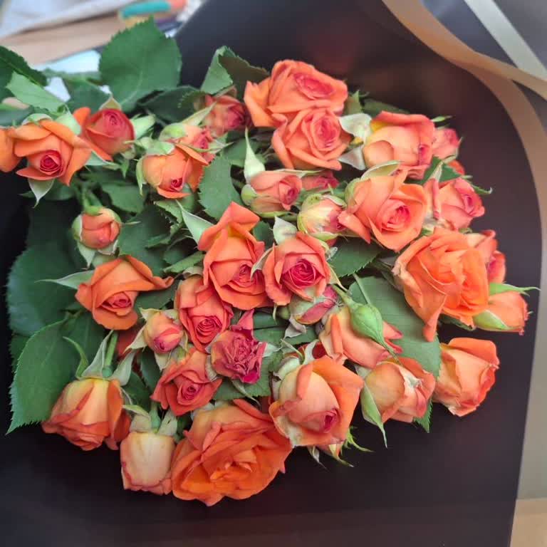 Solmuş Çiçeklerle Gelen Hayal Kırıklığı