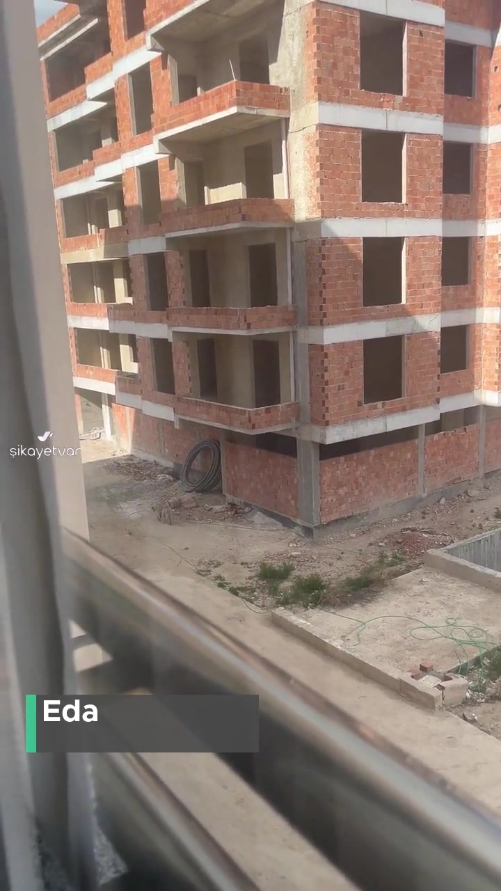 Konya Büyükşehir Belediyesi Sokak Köpekleri Sorunu videonun kapak resmi