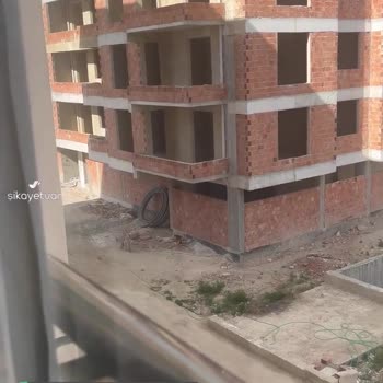 Konya Büyükşehir Belediyesi Sokak Köpekleri Sorunu