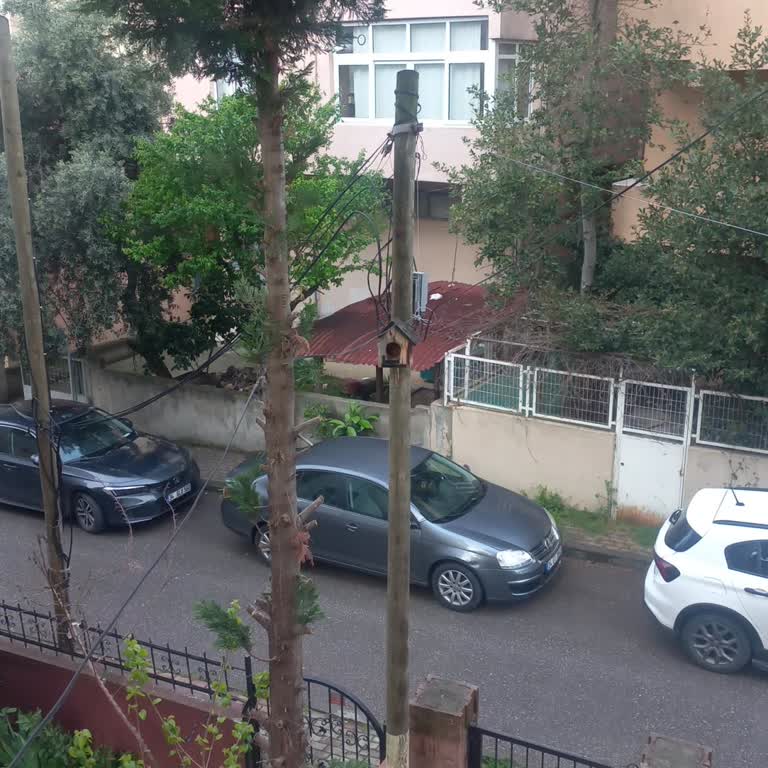 İnternet Bağlantı Sorunu Ve Teknik Destek Eksikliği