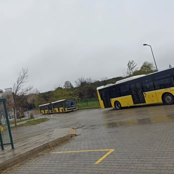 İETT Yağmur Altında Uzun Bekleyiş: Kampüs Servis Sorunu!