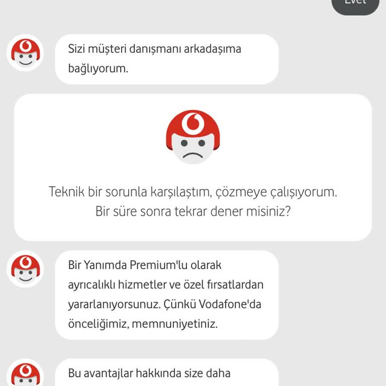 Müşteri Hizmetlerine Ulaşamama Sorunu: Yapay Zeka Engelini Aşmak