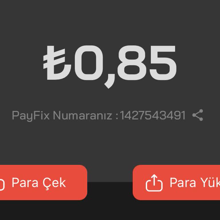 Param Nerede? Payfix'te Yaşadığım Sorun Ve Çözüm Beklentisi