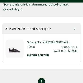 Lacoste Online Siparişim Zamanında Kargolanmadı